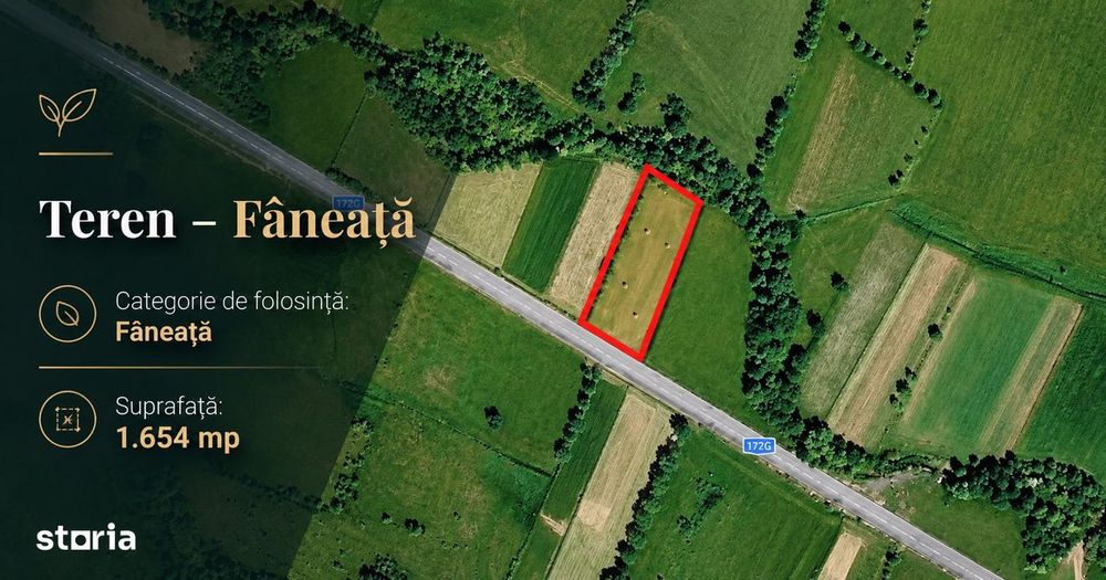 Livezile - Cusma, Teren faneata 1654 MP