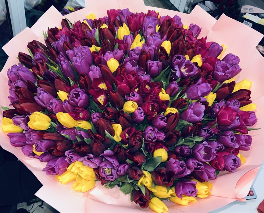 Тюльпаны голандские