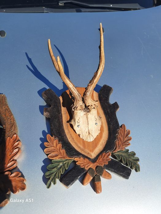 Елински рога. Трофей