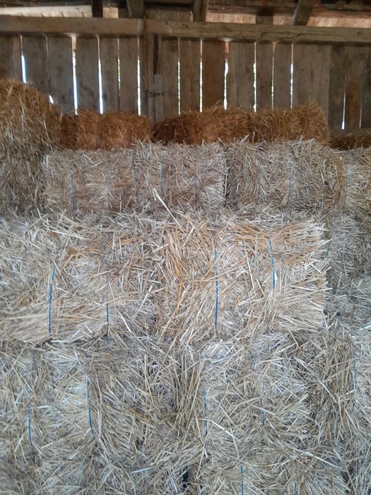 Vând  baloti de paie de grâu  și de ovăz