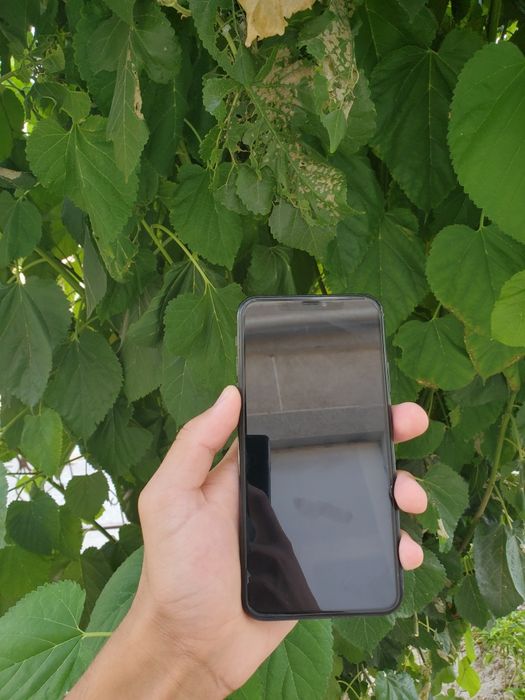 Iphone 11 pro max+galofka org