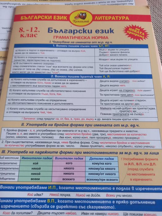 Помагала за матура по български език и литература