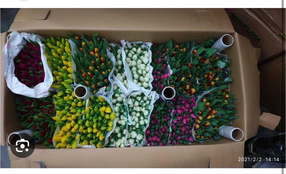 Картонная коробка Астана