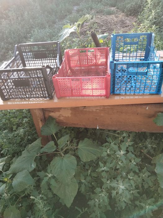 Продам пластиковые ящики