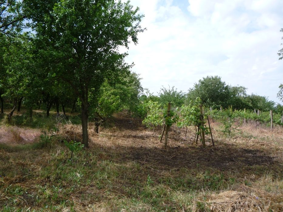 Продава се Къща в Добрич, Дружба 1 - 70 кв.м за 115 €/кв.м - Снимка #3