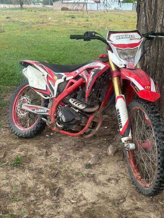 HAMMER 300.      .
