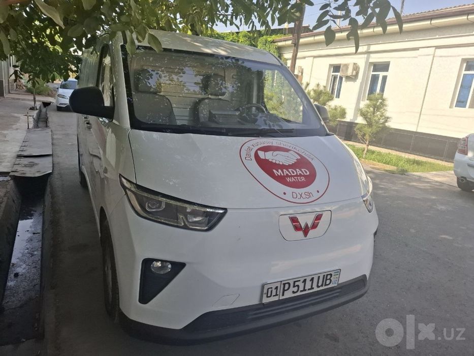 Wuling Yangguang ELEKTR 2024 yil Yuk Furgon
