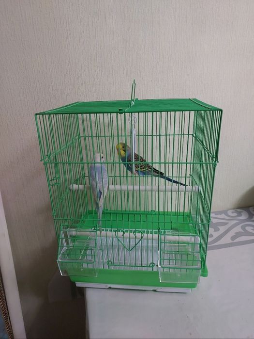 Вална клетка корм минералами