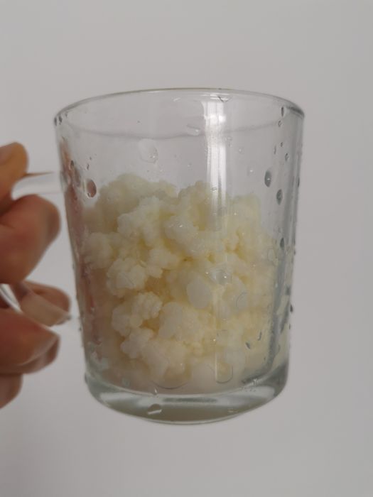 Ciupercă  chefir, zona Crângași