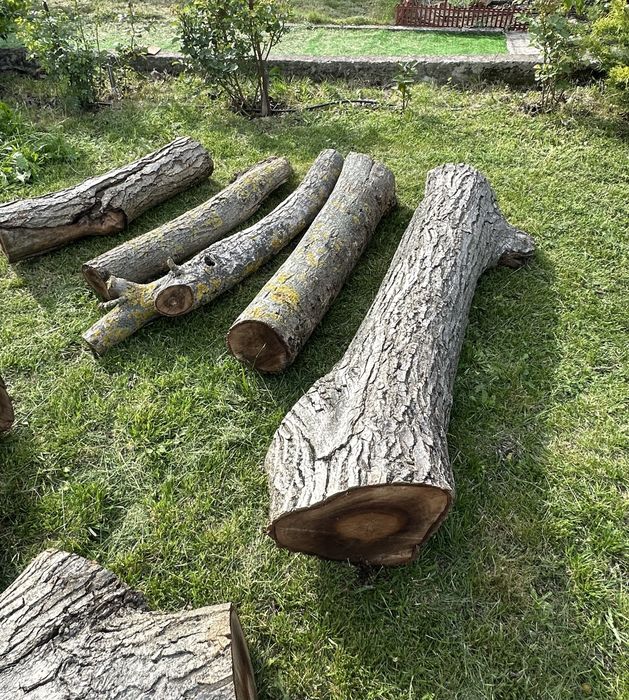 Нарязан орех може да се използва за изработка на мебели