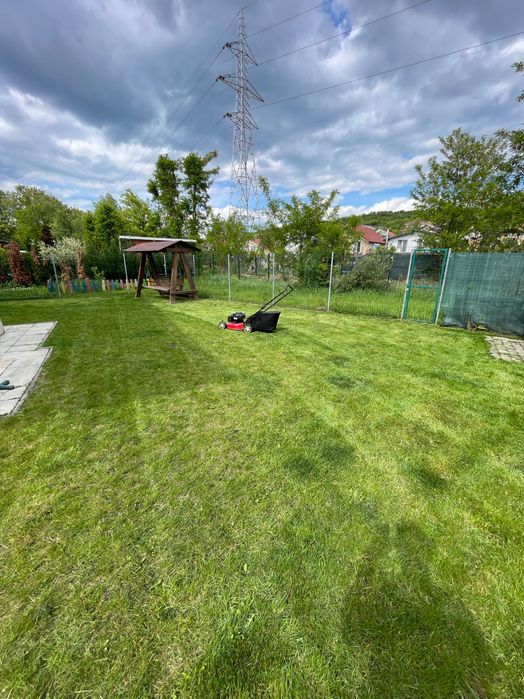 Întreținere grădini și spații verzi – Lăsăm totul perfect!