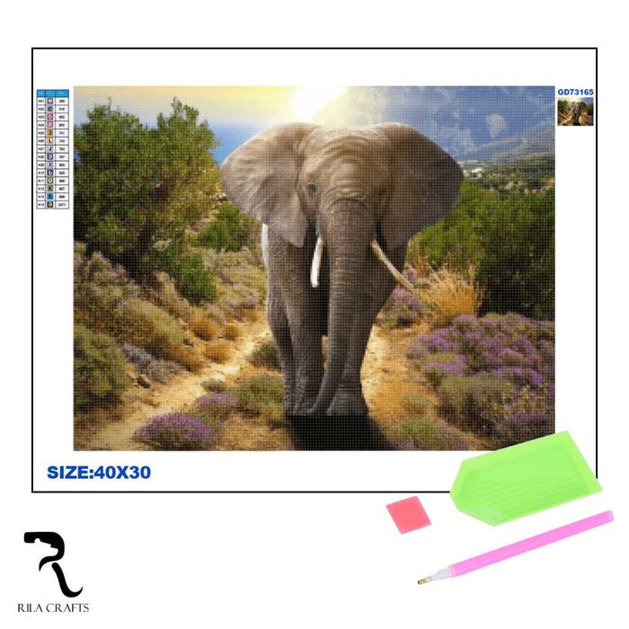 Диамантени гоблени, различни модели, 30х40 см