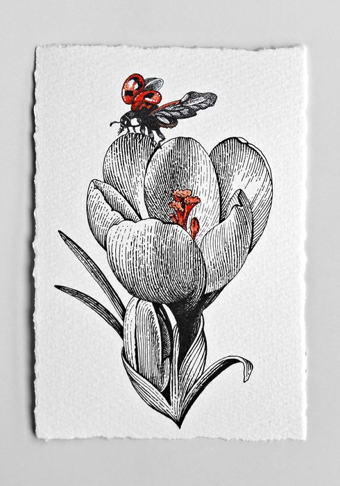 Нежни графични рисунки на цветя – ръчна изработка