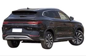 Byd chempion qora