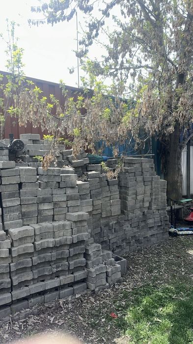 Бурчатка продаётся в хорошем состоянии