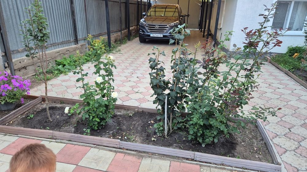 Продаётся 2 дома на одном  участке