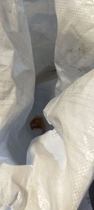 Продаю сухой хлеб