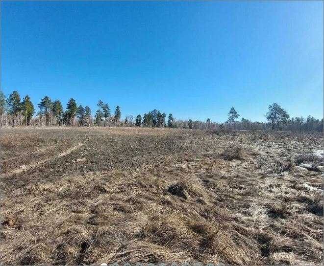 Продам зем. участок в п. Мичурино