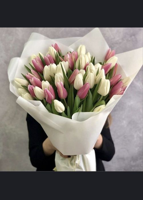 Тюльпаны свежие