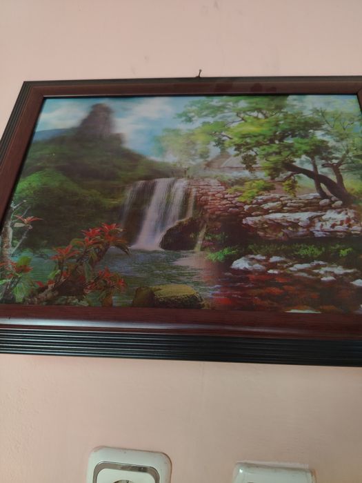 Картина  с рамка