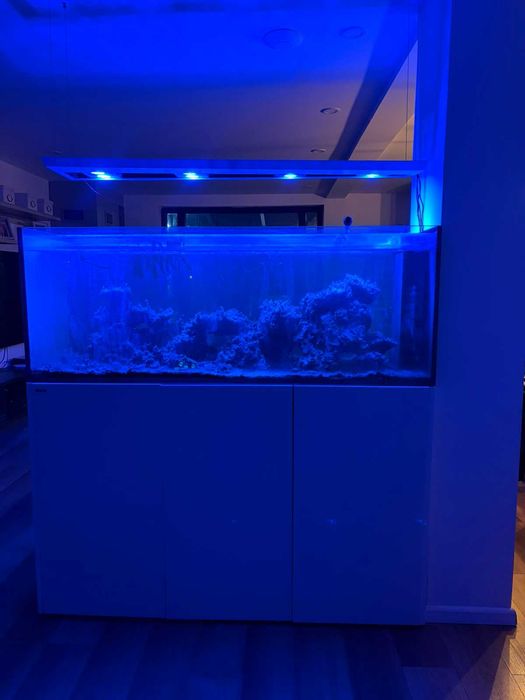 Vand Acvariu Marin Red Sea