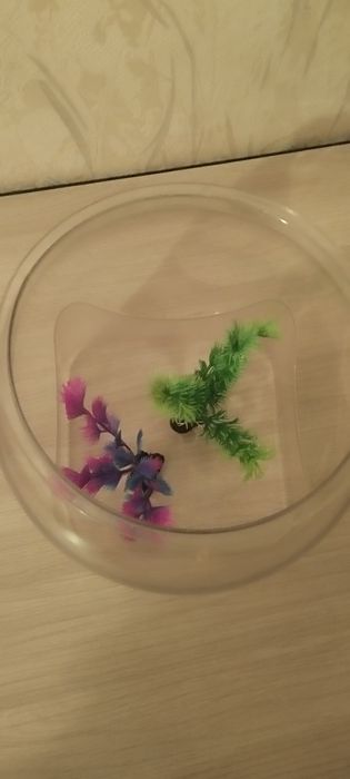 Продам аквариум для рыбок