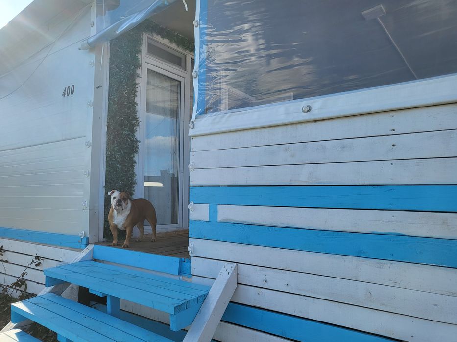 Лятна почивка на море в Бунгало"Синьото Фламинго" Къмпинг Якото място