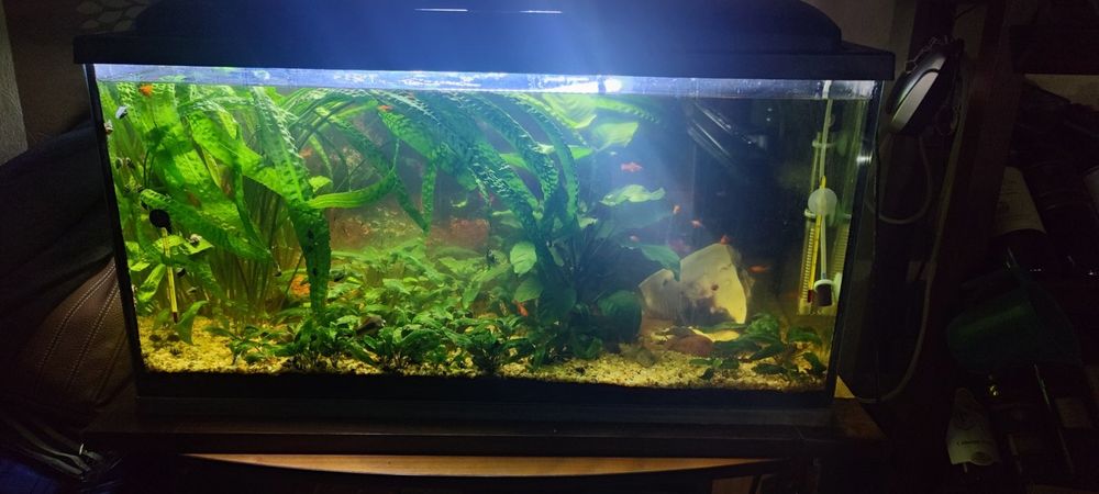 Продавам аквариум