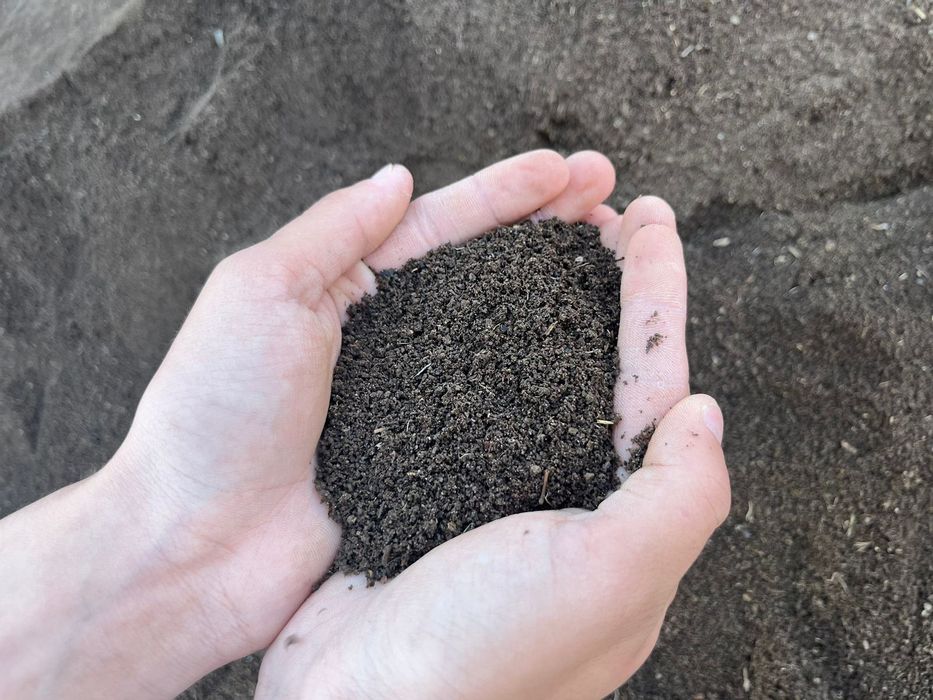 Биогомус Қызылорда