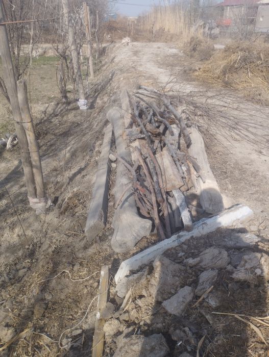 Salomalekum utin lar sotiladi