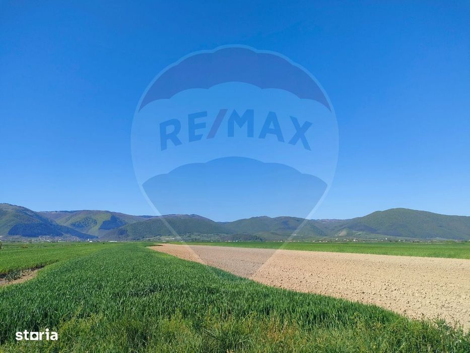 Panoramă deasupra lumii Teren de poveste Gura Râului, zona Peste Grui