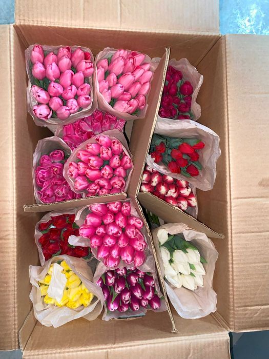 Тюльпаны со склада МЕЛКИЙ ОПТ от 295тг