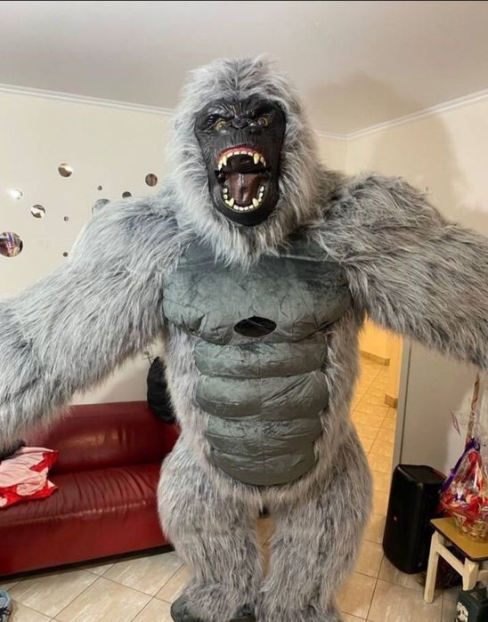 Айиклар сотилади  биринчи кол