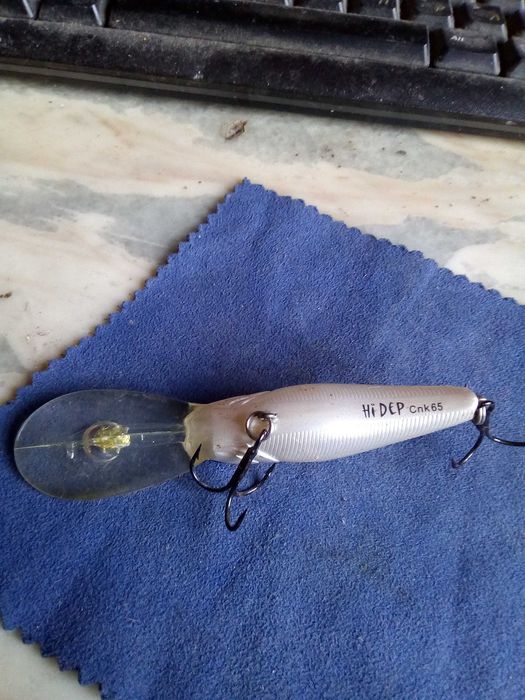 Примамка за хищни риби