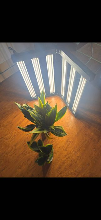 Фитолампа LED Full Spectrum 320W Для Всех Растений, GROWBox, Теплица
