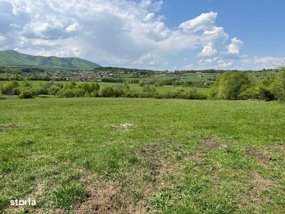 Parcela teren  600 mp Tocile Sadu