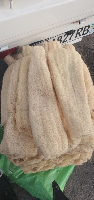 Натуральная мочалка люфа