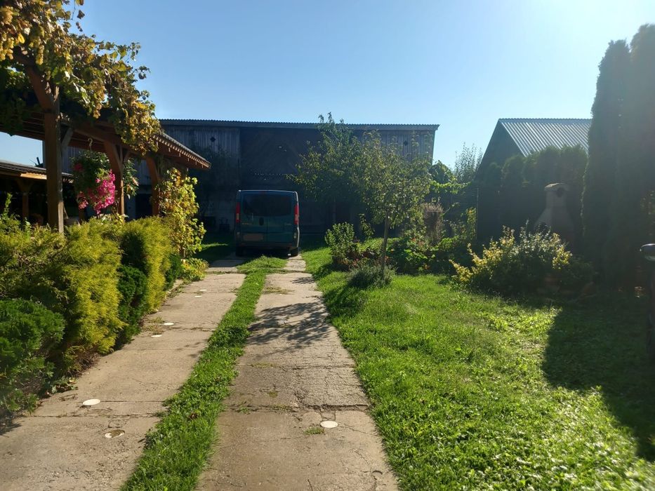 Casă de vânzare în comuna Apa – proprietate spațioasă, eficientă energetic, cu teren generos de 3.200 m²
