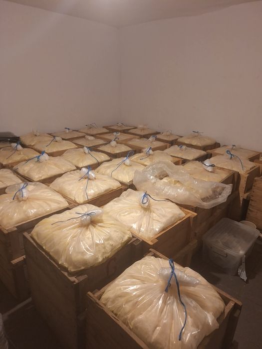 Branza de oaie maturata