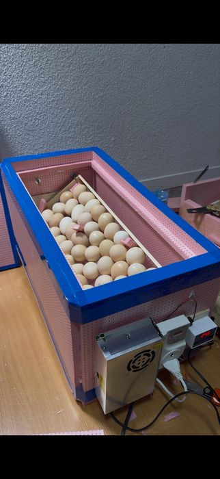 Инкубатор сотилади.