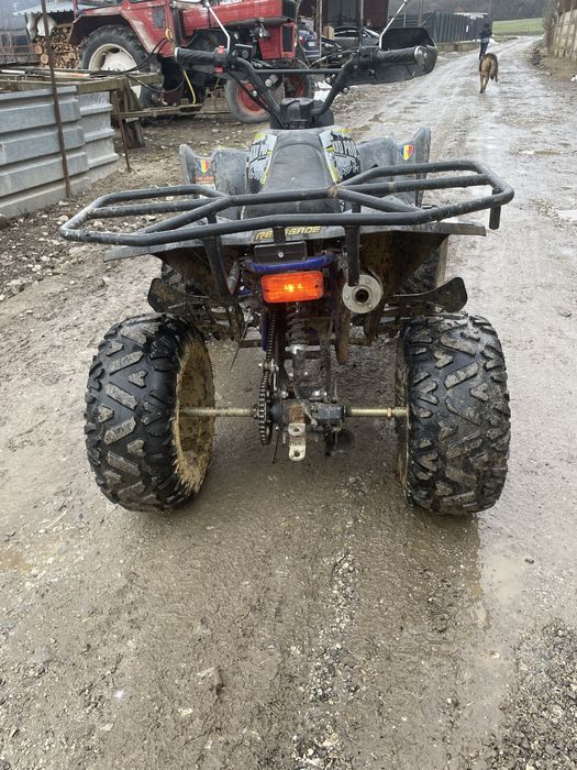 Atv 125 anu 2024 benzina