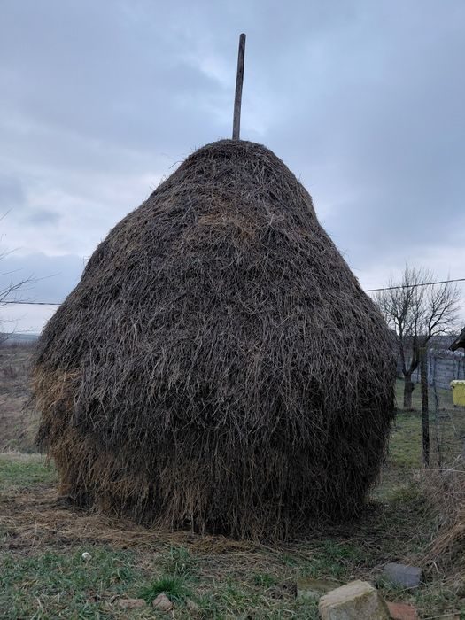 Vînd claie de lucernă