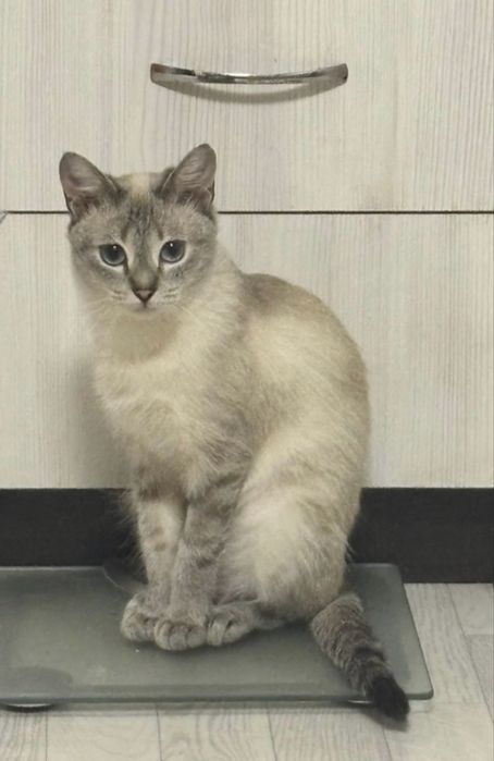 Глаша мечтает стать любимым членом семьи !