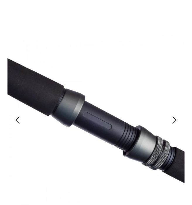 Въдица за сом  FL Catfish Passion Pro 2.70м