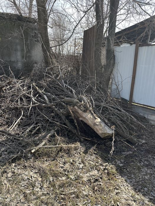 Дрова бесплатно