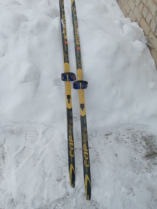 Продам     лыжу    ...