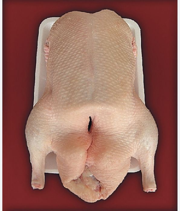 Продам мясо гуся