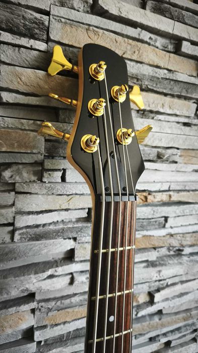 Chitara bass 5 corzi Project cheite Guyker - Garantie