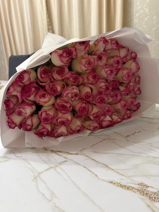 51 роза метровый