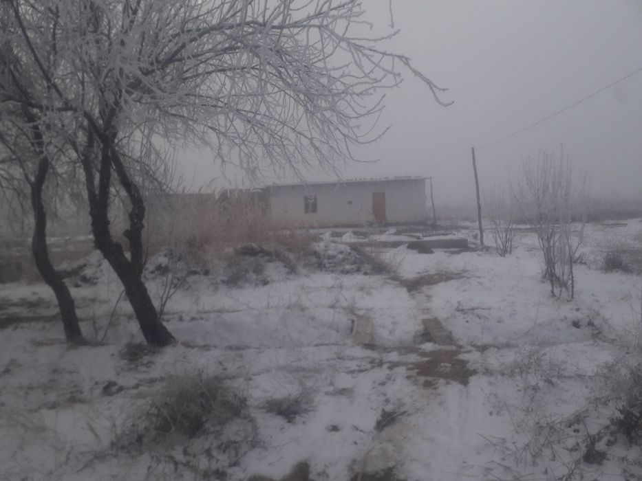 Икки хонали уй 60 га бартер бор